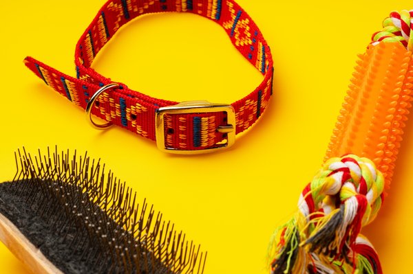 Accessoires pour animaux de compagnie : qualité et bien-être assurés